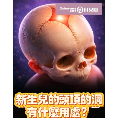 WhatsApp Image 2026-02-27 at 1.22.26 PM.jpeg